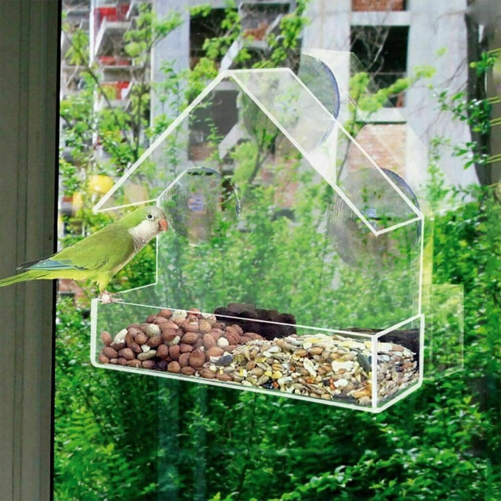 Window Bird Feeders & Seed - Image 2