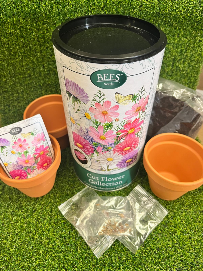 Cut Flowers Seed Growing Kit