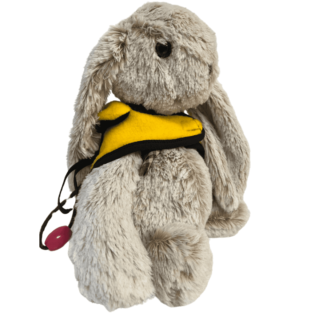 Sensory Buddy Bunny