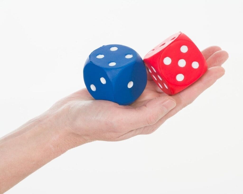 Large Foam Dice (pack of 2)