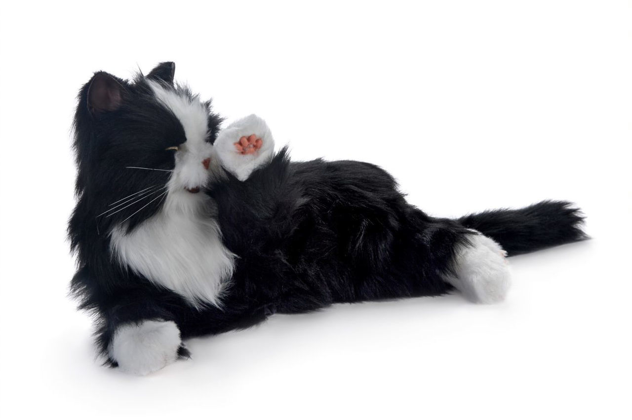 Joy For All Companion Cat - Tuxedo